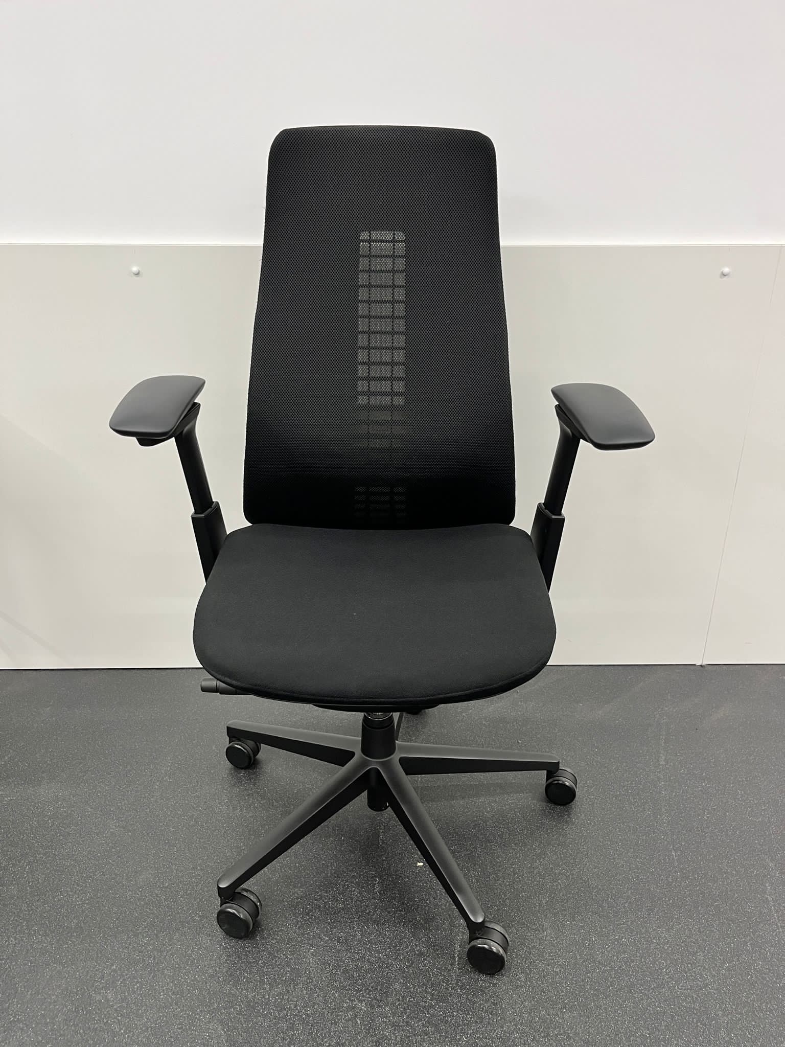 Haworth Fern Haworth Fern