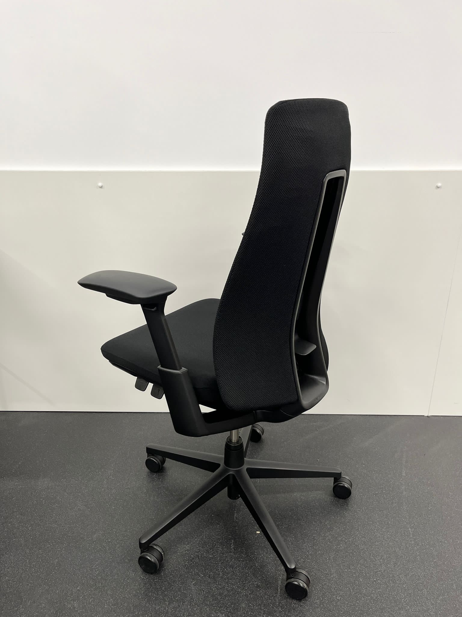 Haworth Fern Haworth Fern